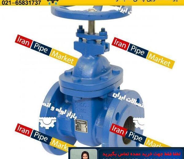 عکس شیر فلکه