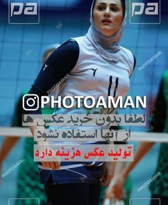عکس شکوفه صفری