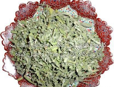 عکس گل خشک شده مریم گلی