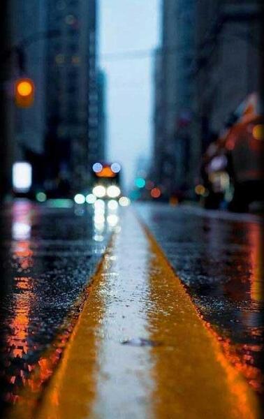 عکس تنهایی قدم زدن زیر بارون
