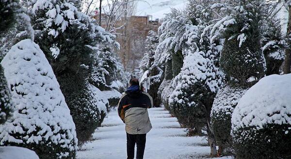 عکس باران یخ زده