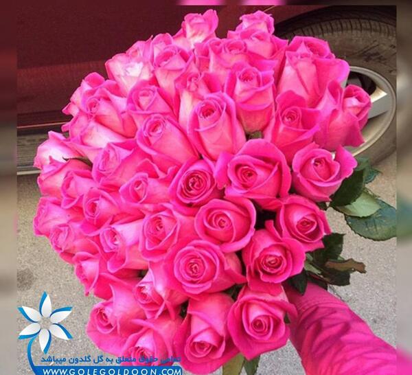 عکس دسته گل برای آشتی