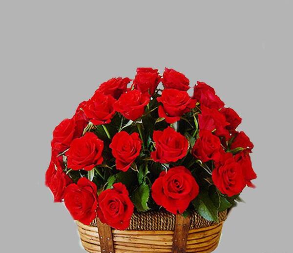 عکس دسته گل برای آشتی