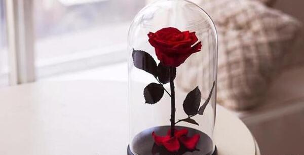 عکس دسته گل برای آشتی