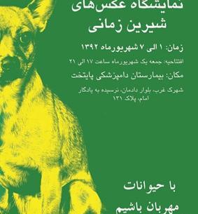 عکس شیرین زمانی