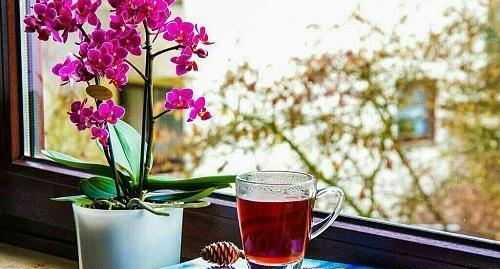 عکس صبح بخیر بدون نوشته