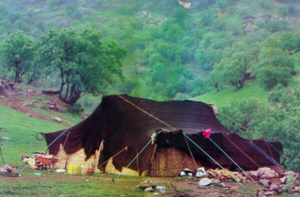 عکس سیاه چادر ایلام