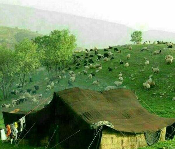 عکس سیاه چادر ایلام