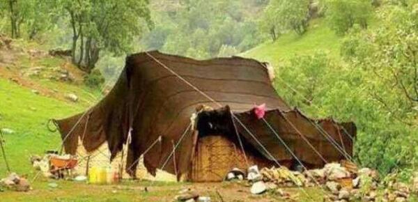 عکس سیاه چادر ایلام