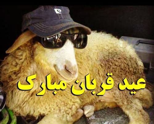 عکس نوشته تبریک عید قربان خنده دار