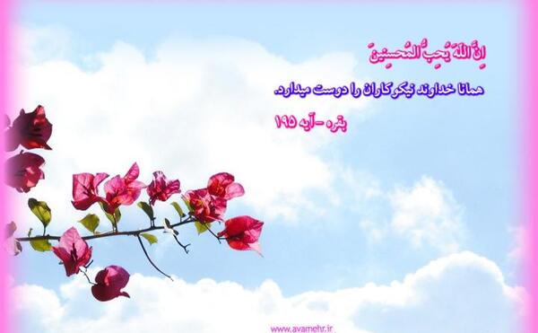 عکس بهار قران