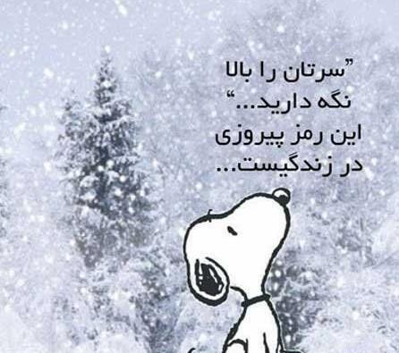 عکس واتساپ معنی دار