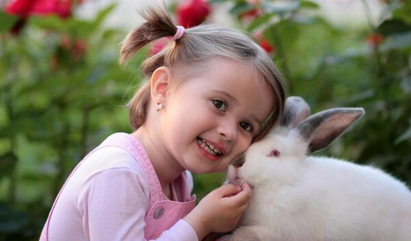 عکس خرگوش عاشق