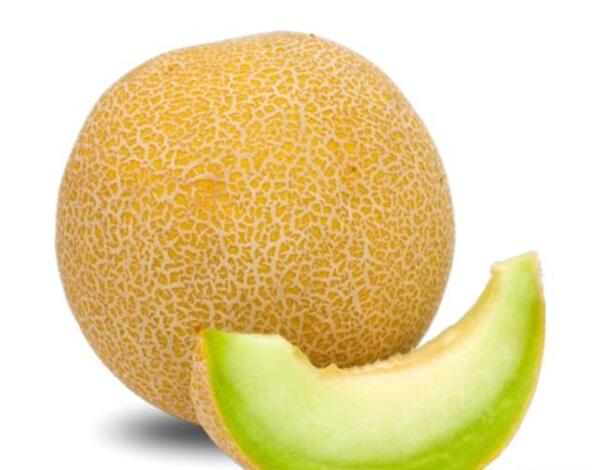 عکس خربزه جانان