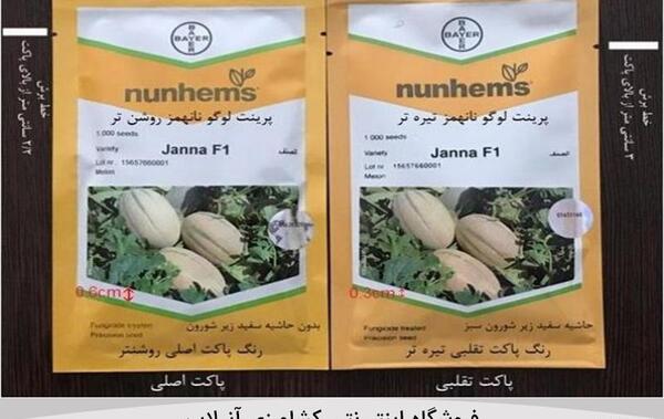 عکس خربزه جانان