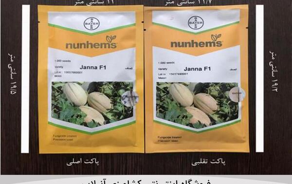 عکس خربزه جانان