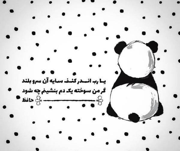 عکس حافظ سیاه و سفید
