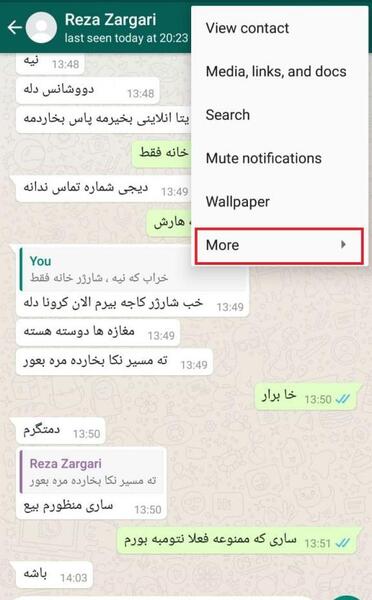 فرستادن عکس چند ثانیه ای در تلگرام