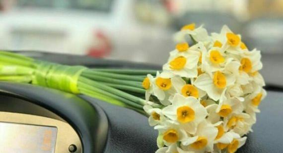 عکس گل نرگس و لاله