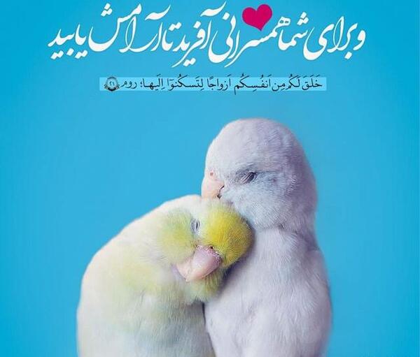 عکس نوشته حدیث درباره خانواده