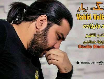 عکس مهران ولی زاده