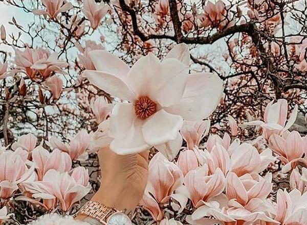 عکس های بهار عاشقانه