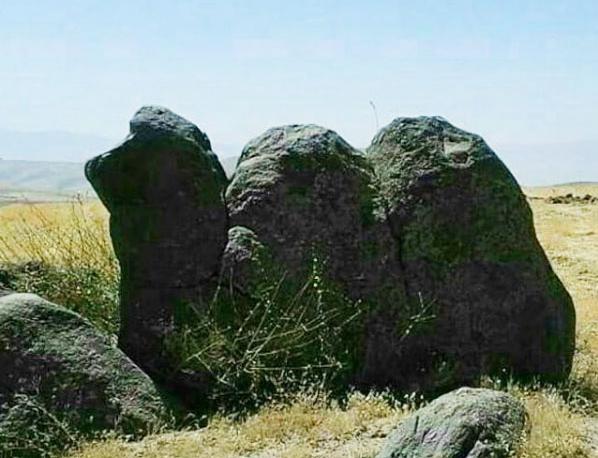 عکس شتر خوابیده