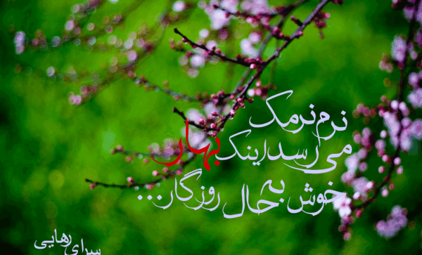 عکس نوشته بوی باران بوی سبزه بوی خاک