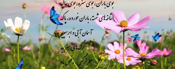 عکس نوشته بوی باران بوی سبزه بوی خاک