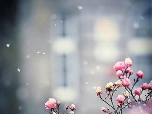 عکس نوشته بوی باران بوی سبزه بوی خاک