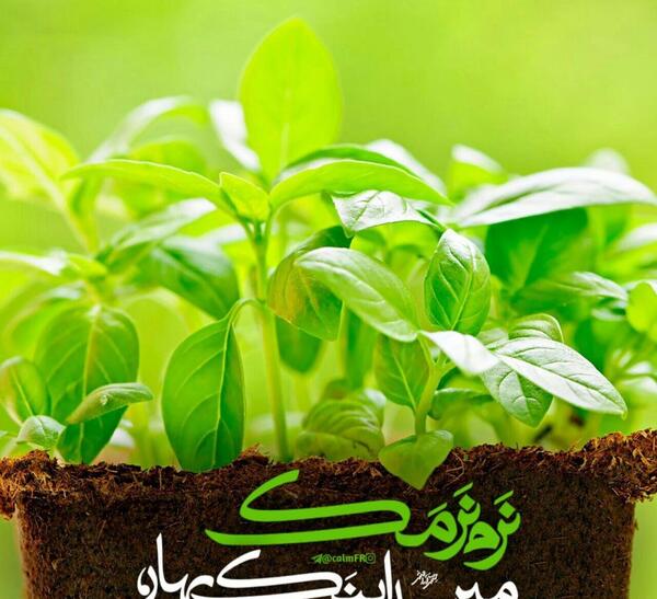 عکس نوشته بوی باران بوی سبزه بوی خاک