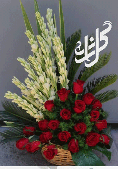 عکس گل مریم و رز