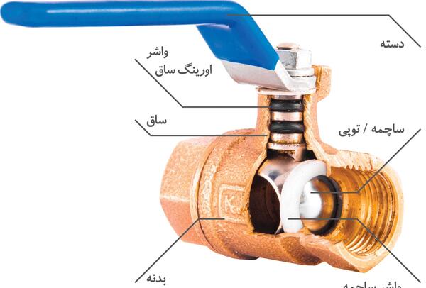 عکس شیر تک ضرب