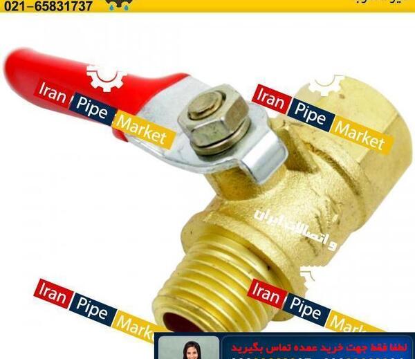 عکس شیر تک ضرب
