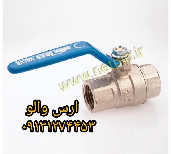 عکس شیر تک ضرب