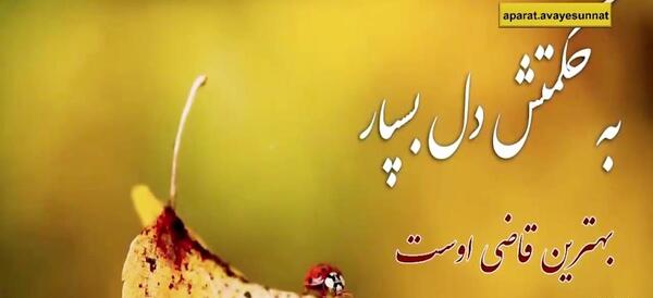 عکس خدا امیدم تویی