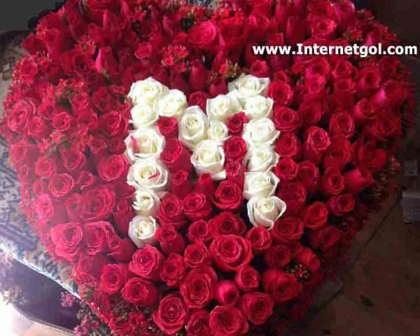 عکس گل رز حروف انگلیسی