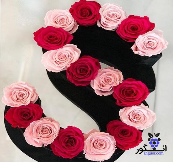 عکس گل رز حروف انگلیسی