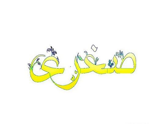 عکس صغری