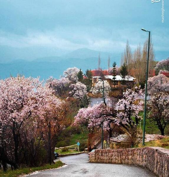 عکس طبیعت زیبای سنندج