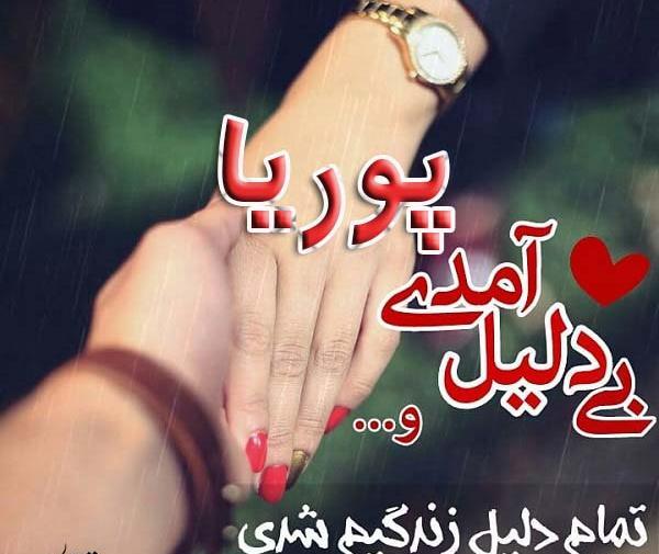 طراحی عکس پوریا