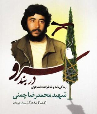 عکس حامد چمنی