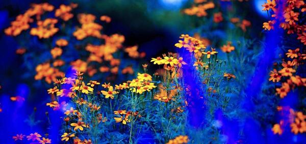 عکس طبیعت جهان برای پروفایل