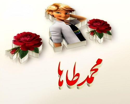 عکس نوشته محمد طاها