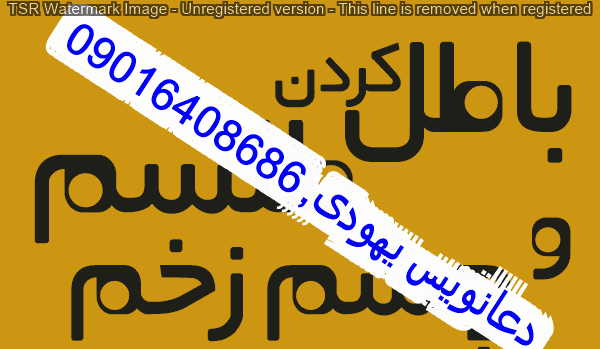 عکس استاد داوود کتولی