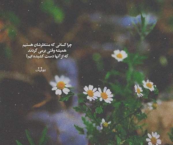 عکس های نوشته دار المانی