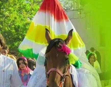 عکس اسب عروس