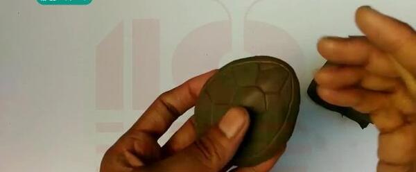 عکس لاک پشت با گل رس