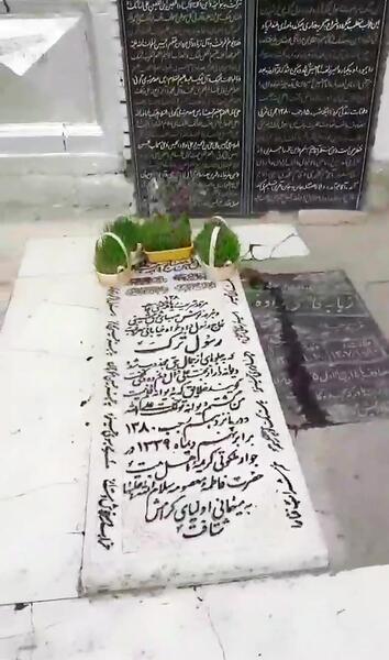 عکس قبر سید جواد ذاکر