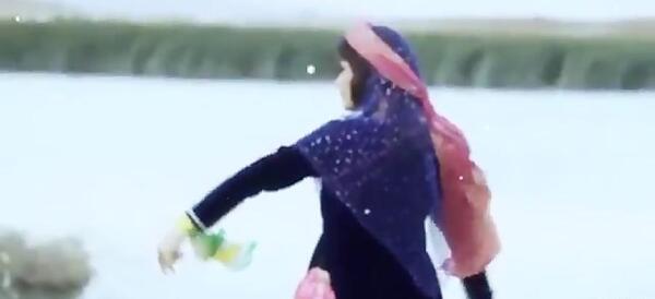 عکس امین تقی پور